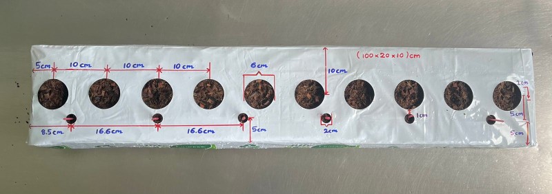 JIFFY COCO 100CM X 200CM X 10 CM / 10 TROUS LIGNE