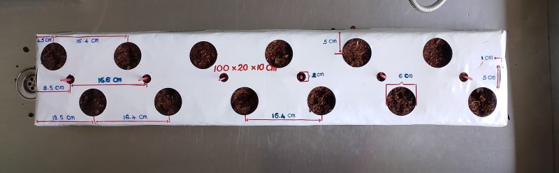 JIFFY COCO 100CM X 200CM X 10 CM / 12  TROUS QUINCONCES