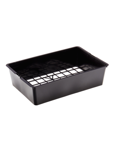 CLAYETTE GM 6 FACP A...