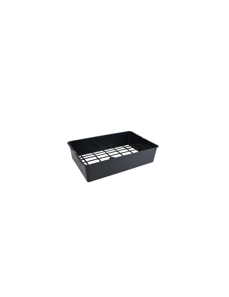 CLAYETTE TGM6 FACP