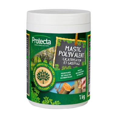 MASTIC A FROID-CICATR....