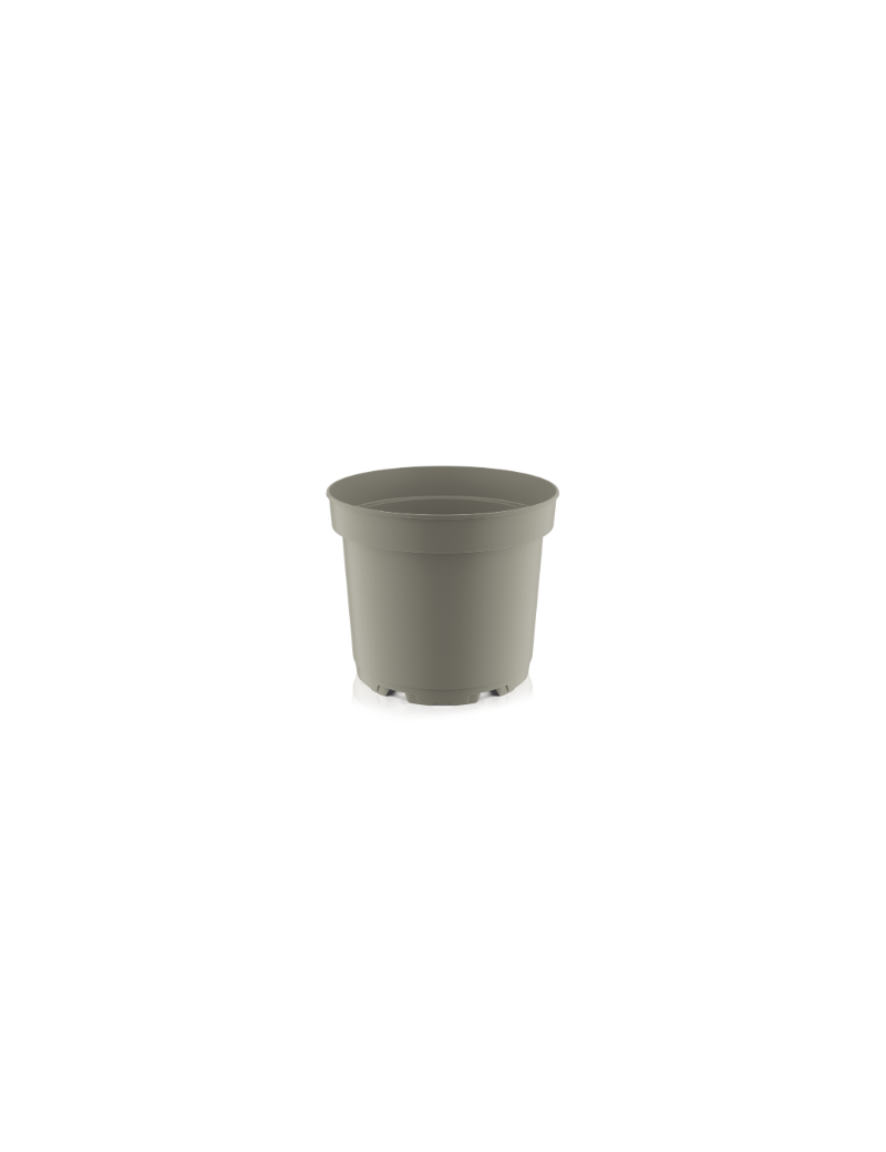 CONT MCI 17  5° CIRCULAR360 2L