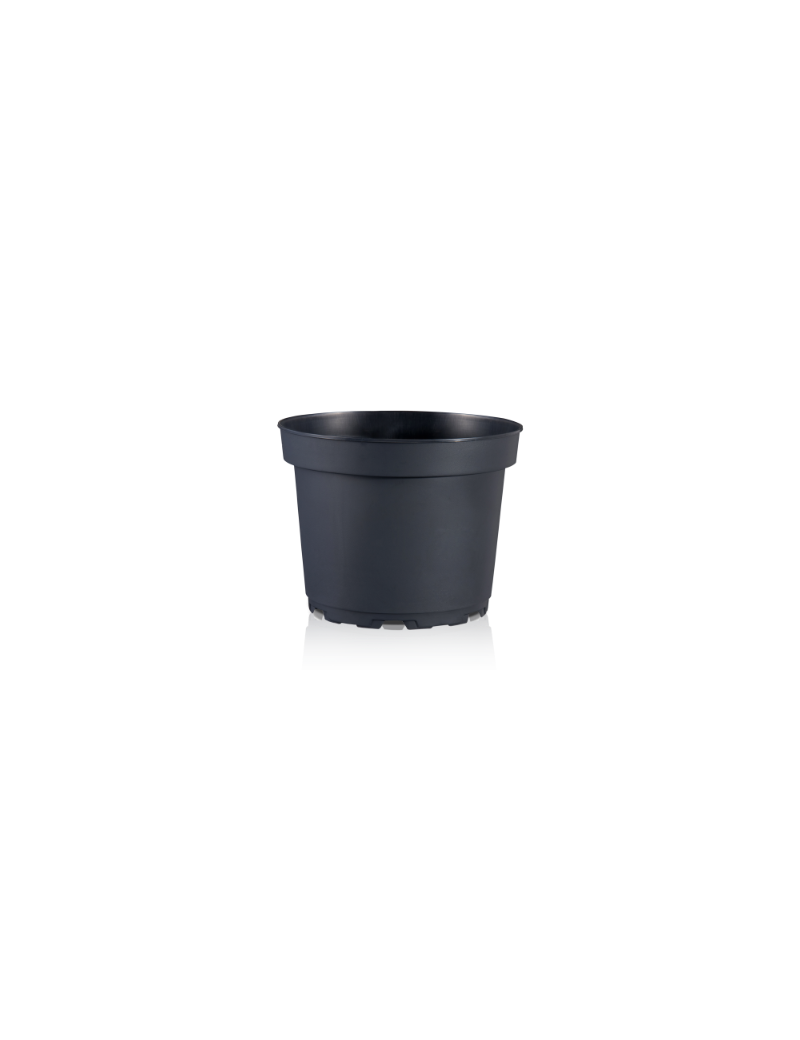 CONT MCI 17  5° CIRCULAR360 2L