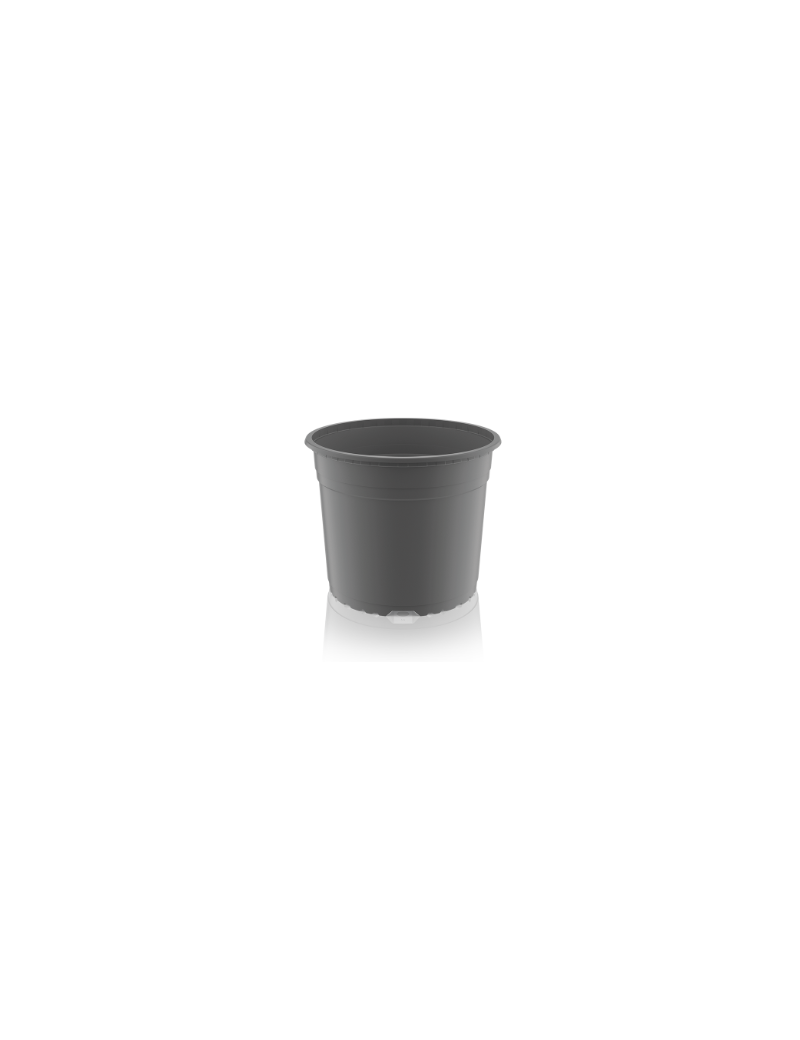 CONT VCG 21 CIRCULAR360 4 L 5°