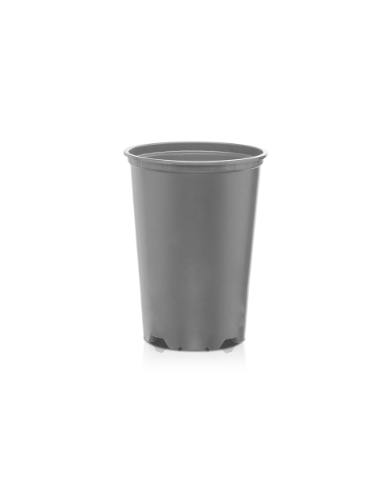 CONT VCE 14 5° ROSIER 2 L