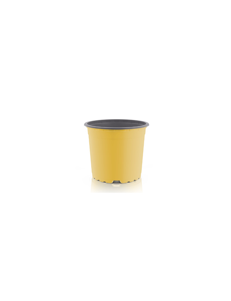 CONT VCG 19 CIRCULAR360 3 L 5°