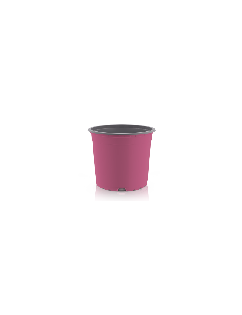CONT VCG 19 CIRCULAR360 3 L 5°