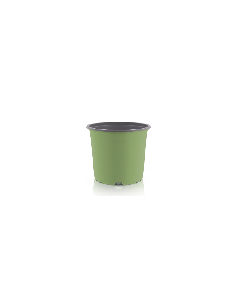 CONT VCG 19 CIRCULAR360 3 L 5°