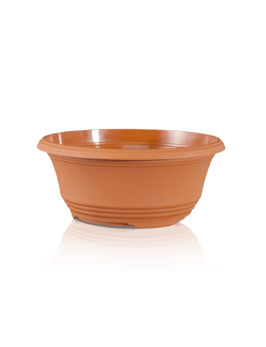 COUPE T 35 CIRCULAR360