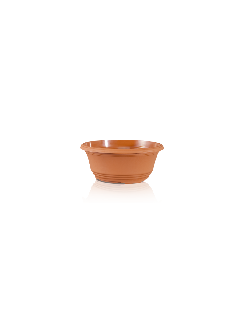 COUPE T 35 CIRCULAR360