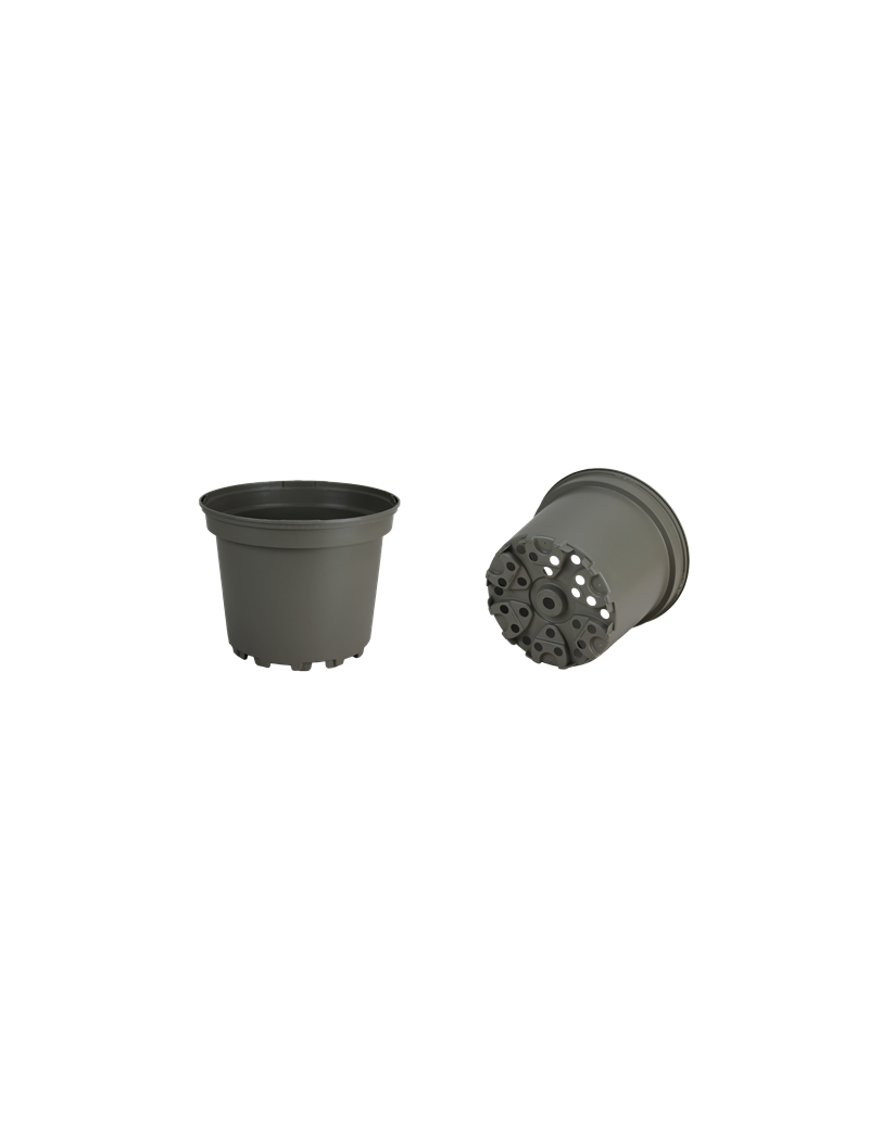CONT 2 L SX G2 16.7 X 13.2