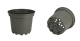 CONT 2 L SX G2 16.7 X 13.2