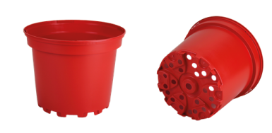 CONT 2 L SX G2 16.7 X 13.2