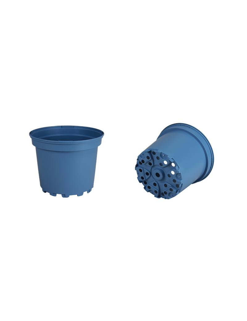 CONT 2 L SX G2 16.7 X 13.2