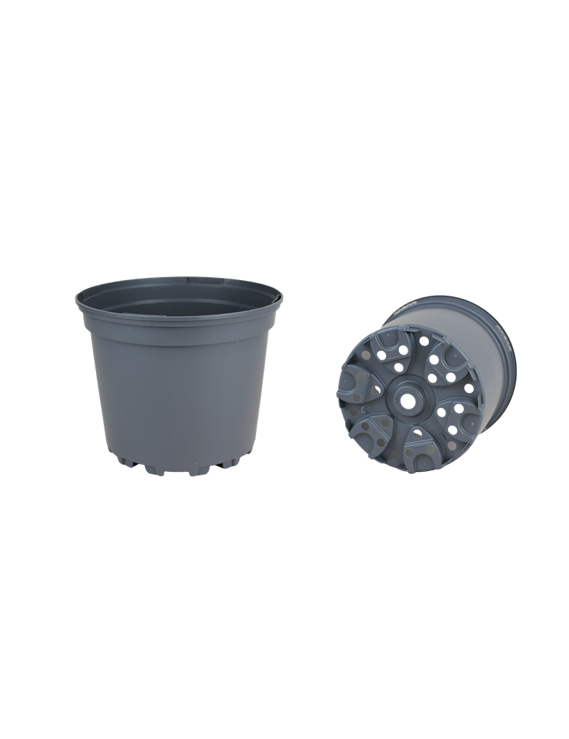 CONT 1.5 L SX G2 15 X 11.9