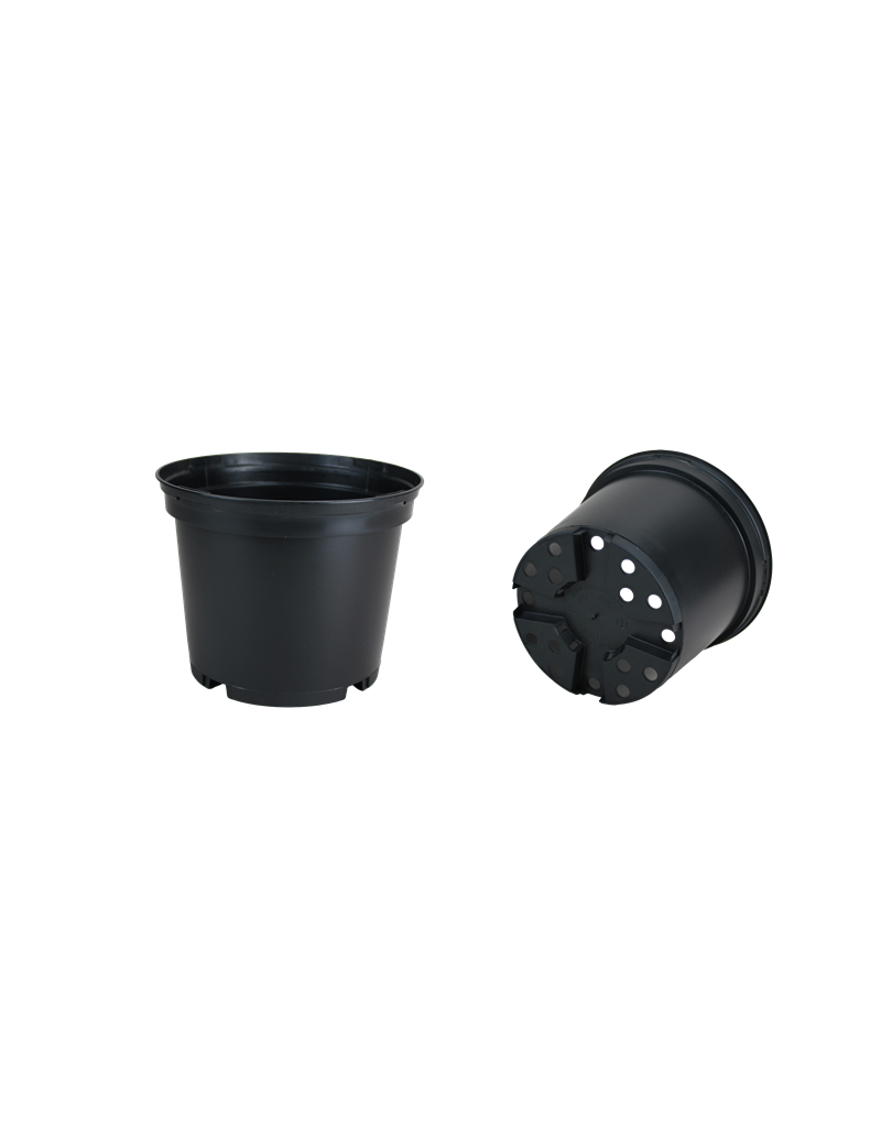 CONT 2.5L SMV G2