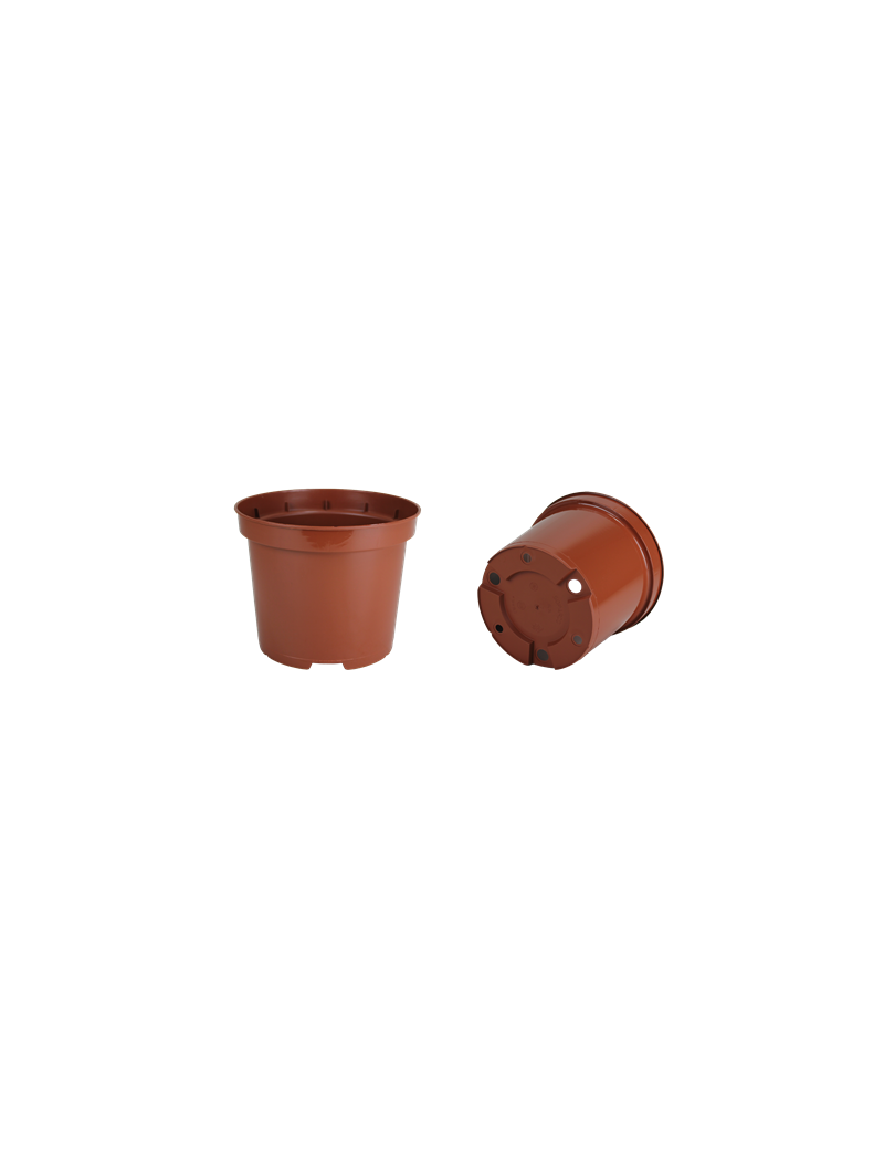 CONT 3L ES 19 X 15