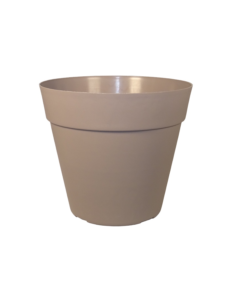 POT JADE COCORIPOT