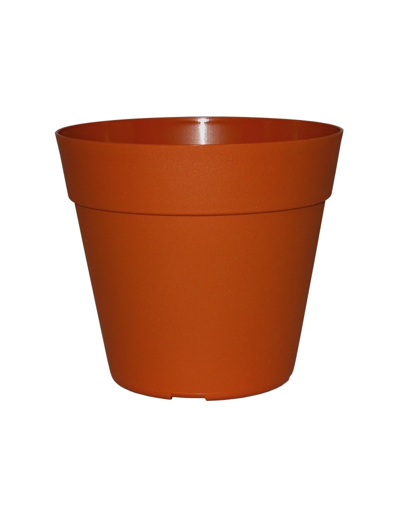 POT JADE COCORIPOT