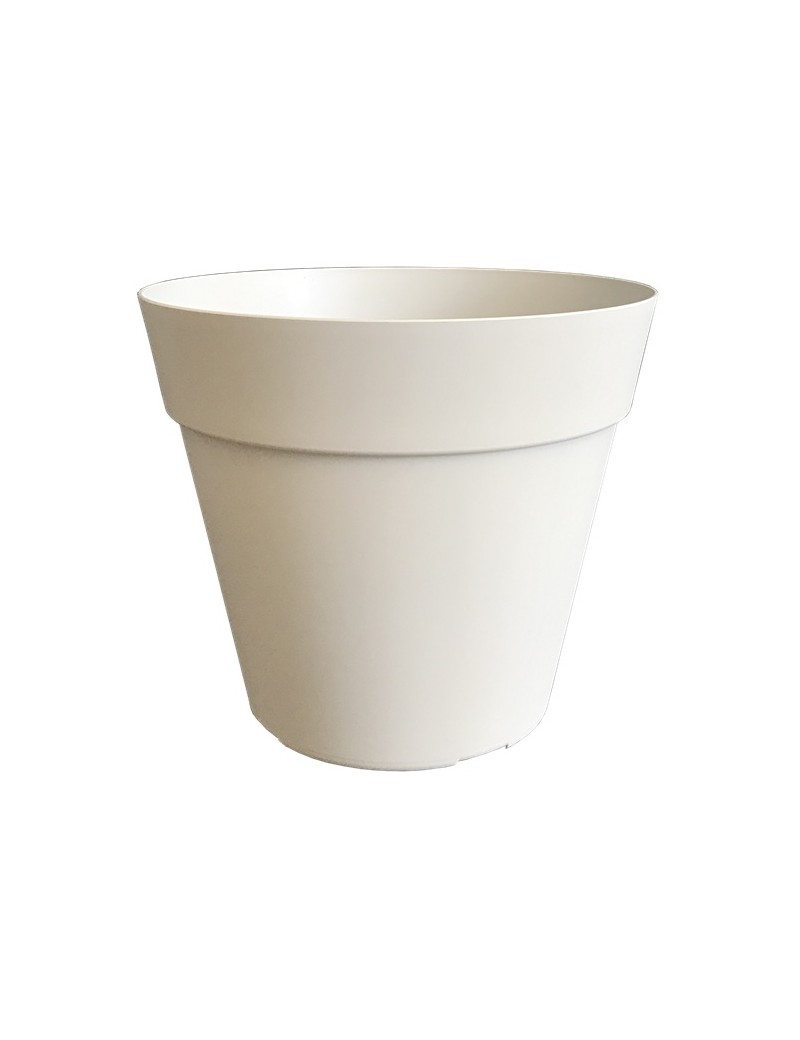 POT JADE COCORIPOT