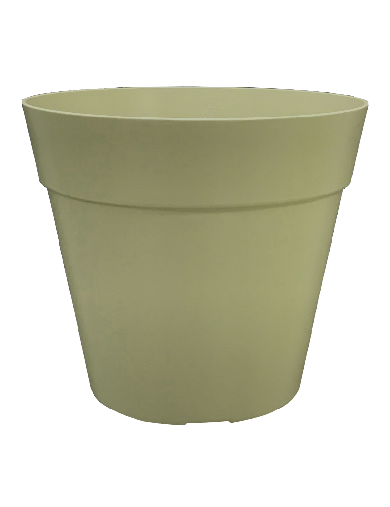POT JADE COCORIPOT