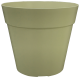 POT JADE COCORIPOT