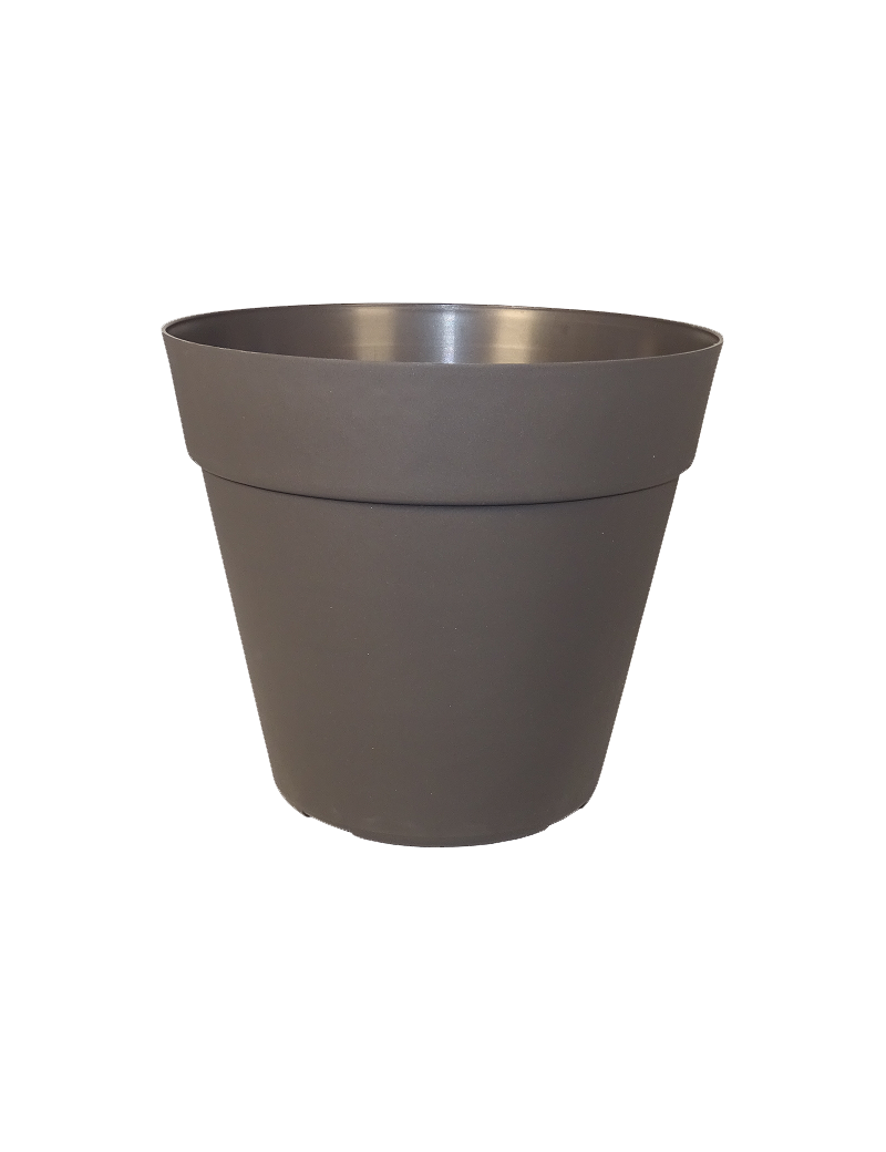 POT JADE COCORIPOT