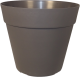 POT JADE COCORIPOT