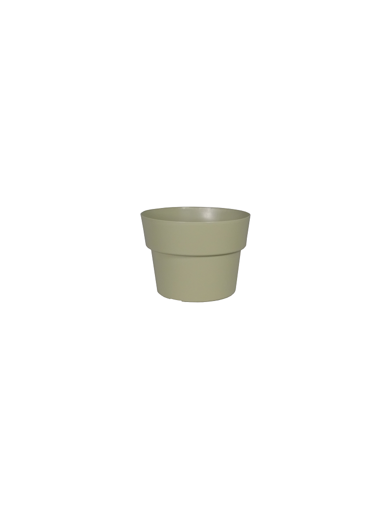 POT COCORIPOT