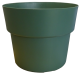 POT COCORIPOT