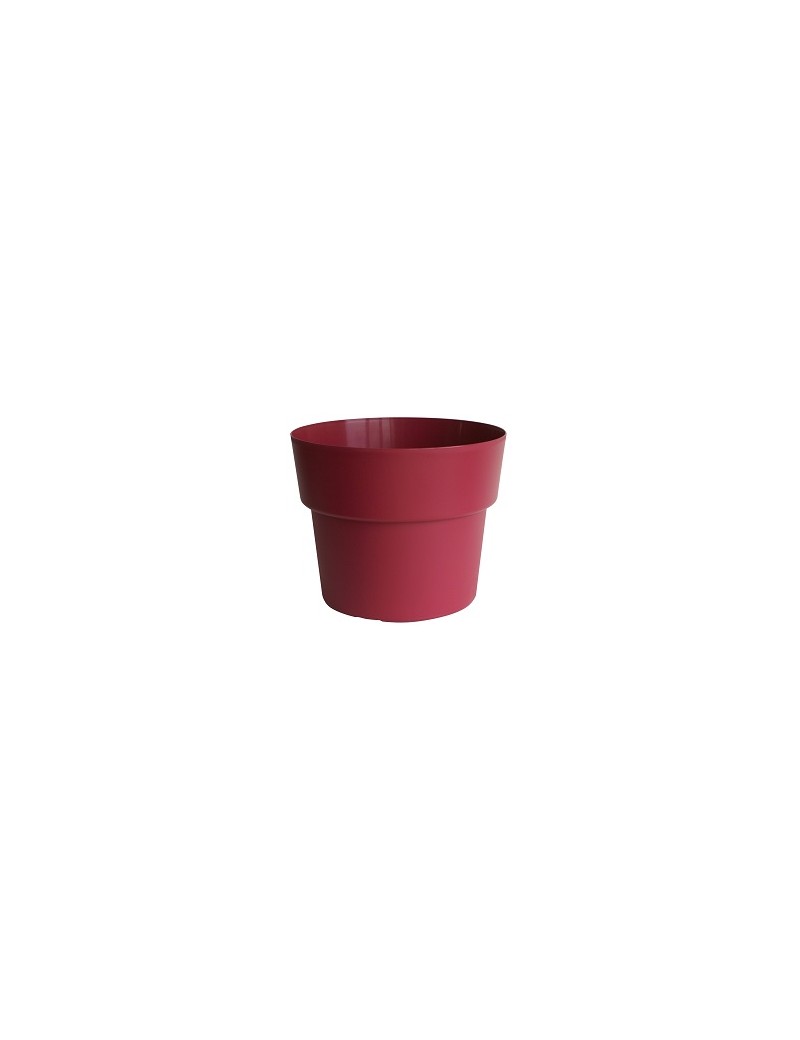 POT COCORIPOT