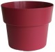POT COCORIPOT