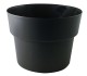 POT COCORIPOT