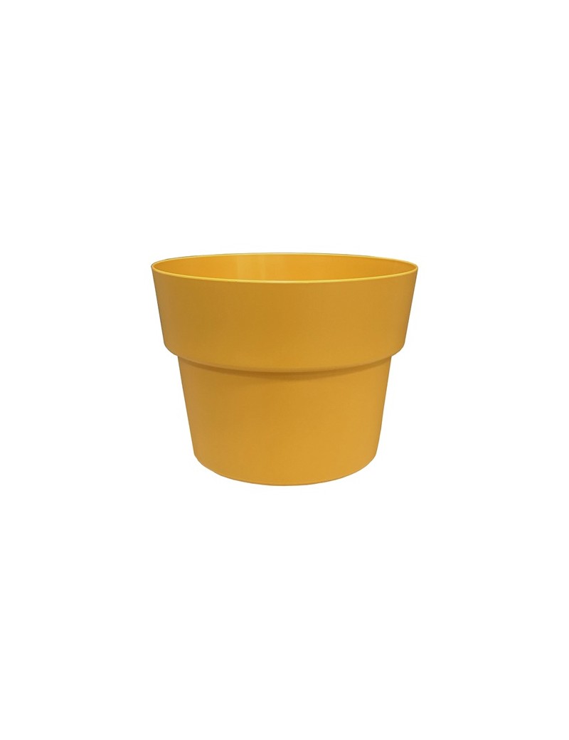 POT COCORIPOT