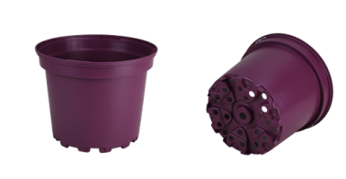 CONT 5L SX  G2  22.6 X 18