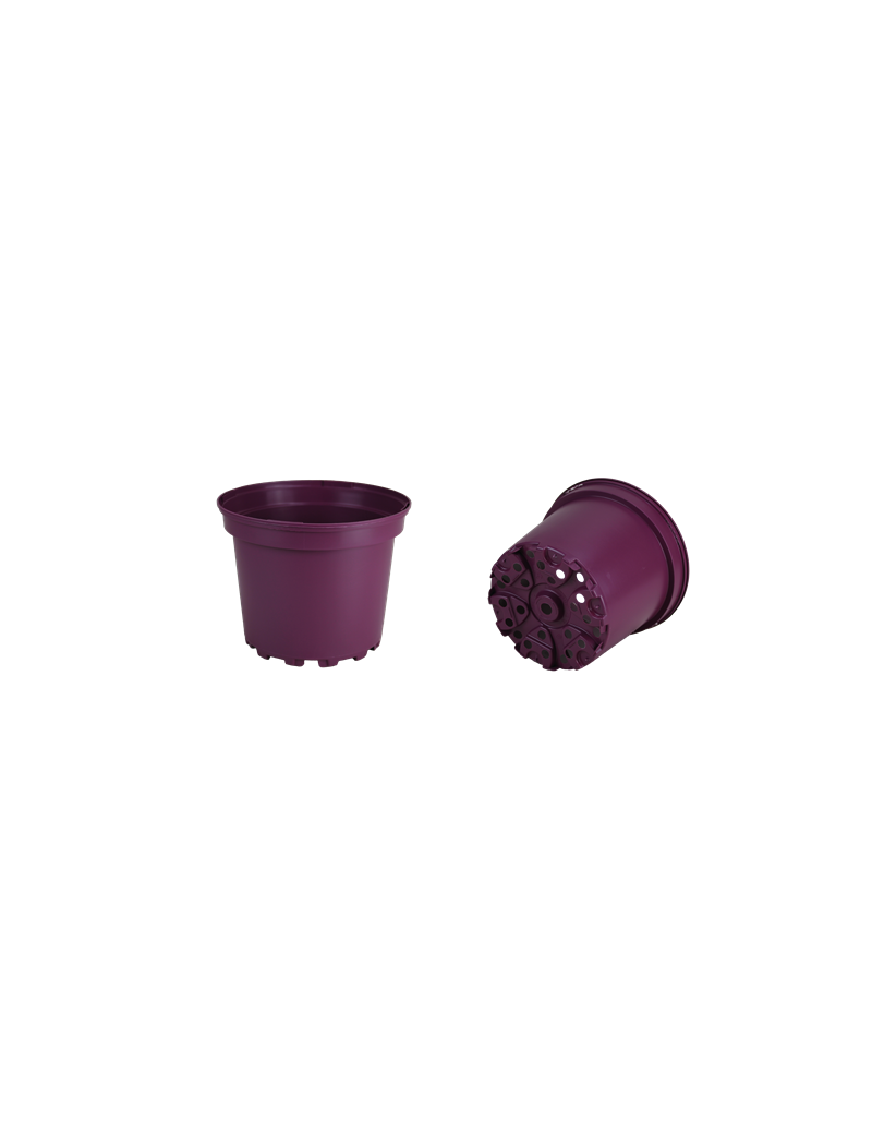 CONT 5L SX  G2  22.6 X 18