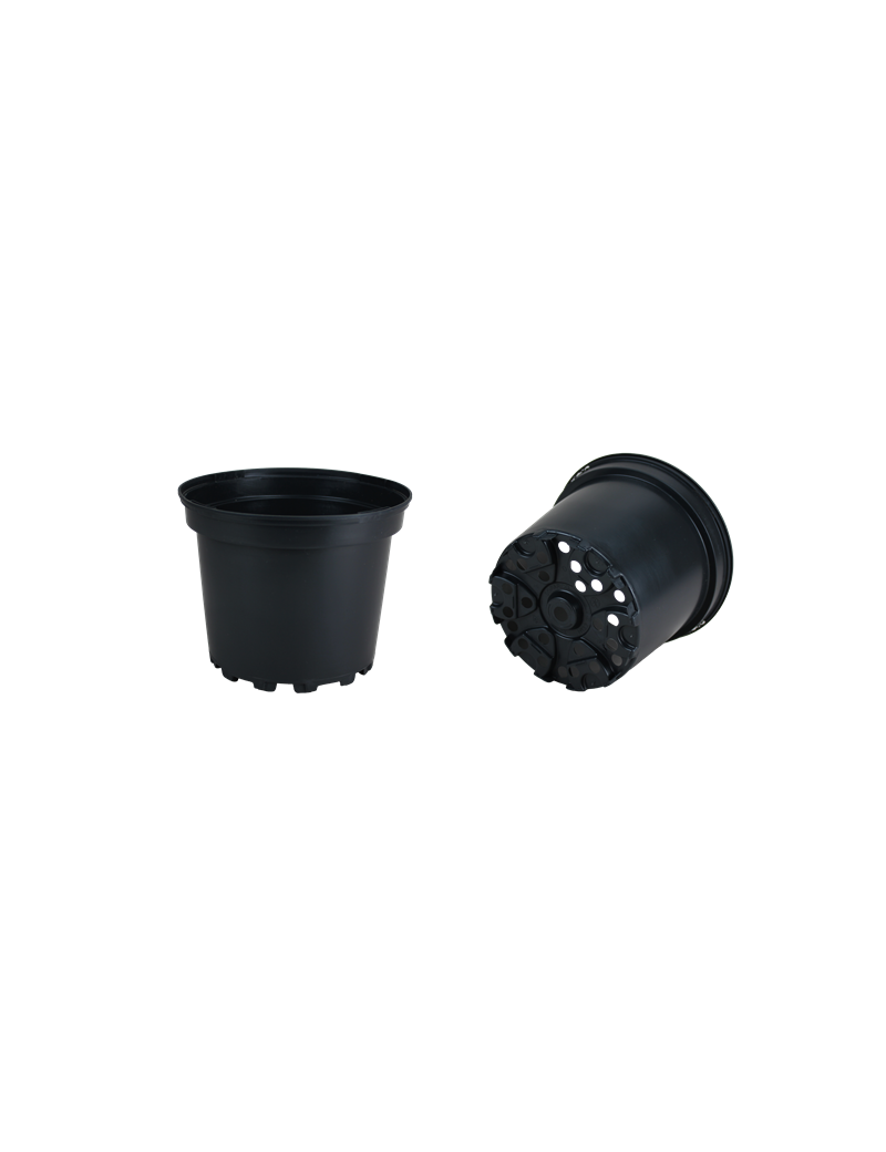 CONT 5L SX  G2  22.6 X 18