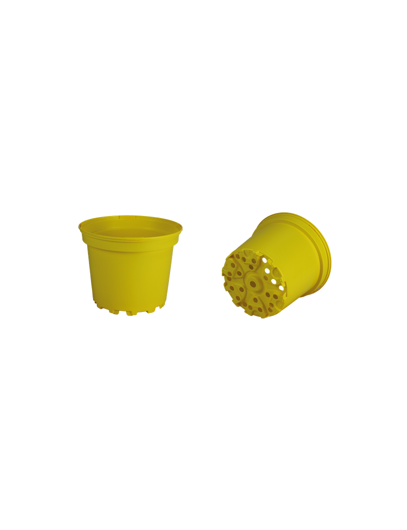 CONT 5L SX  G2  22.6 X 18