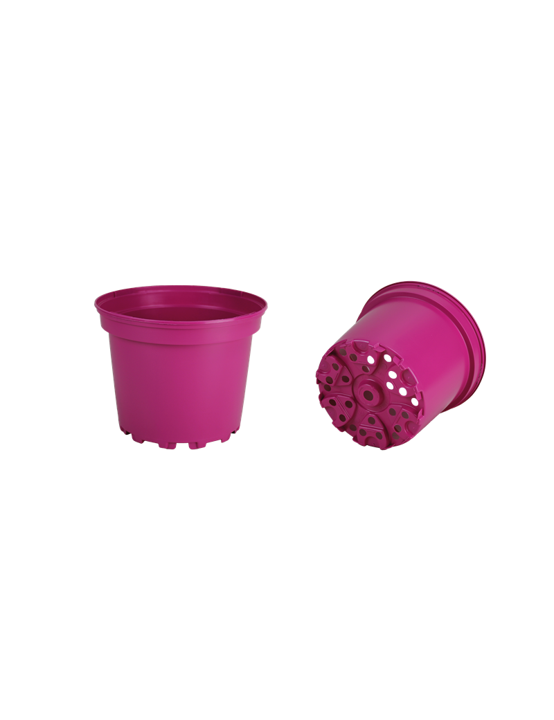 CONT 5L SX  G2  22.6 X 18