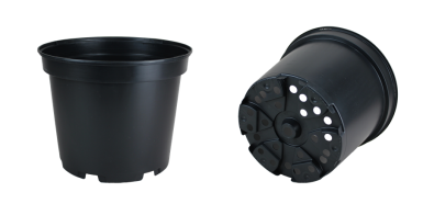 CONT 7.5 L SX  G2  25.8 X 20.5