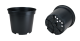 CONT 7.5 L SX  G2  25.8 X 20.5