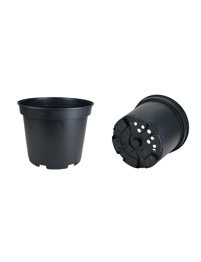 CONT 10L SX  G2  28.4 X 23