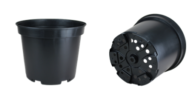 CONT 10L SX 28.4 X 23