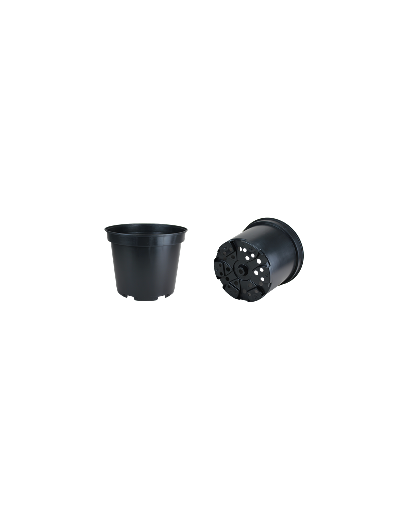CONT 10L SX 28.4 X 23