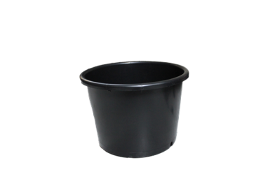 CONT 20L BAS SD PP 37.7 X 26