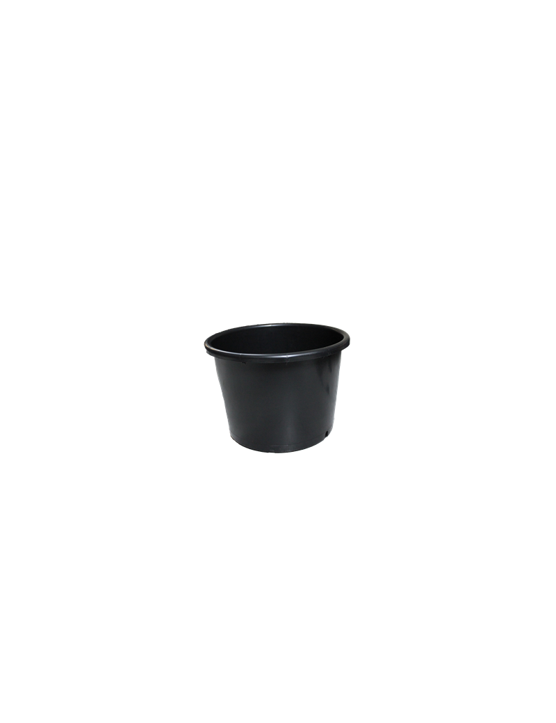 CONT 20L BAS SD PP 37.7 X 26