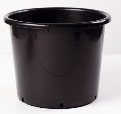 CONT 25L BAS SD PP 40.6 X 28