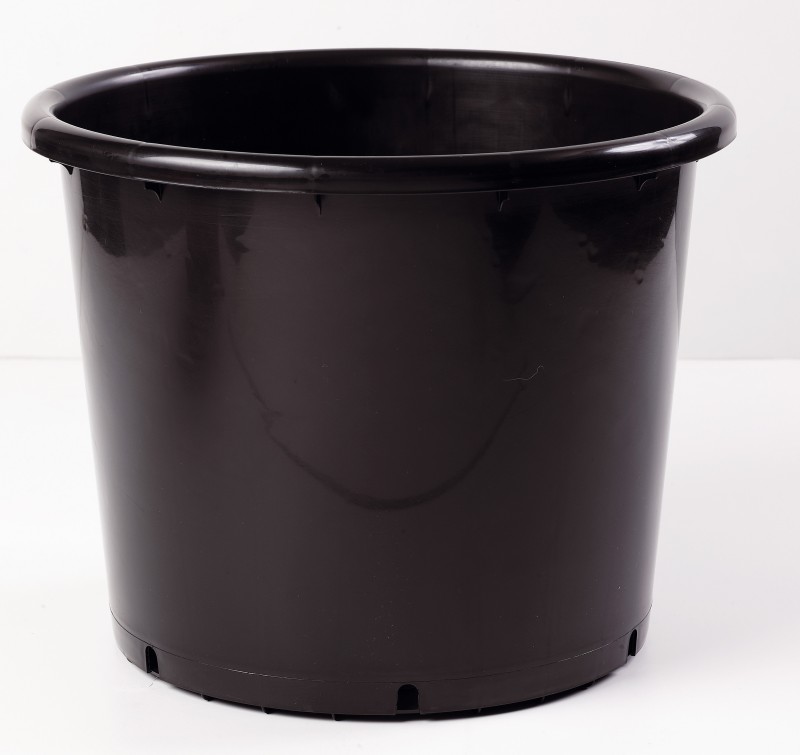 CONT 25L BAS SD PP 40.6 X 28