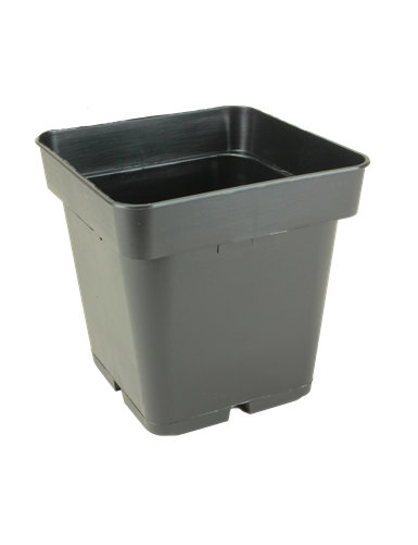 CONT CARRE CS 11X11X11 F 1L