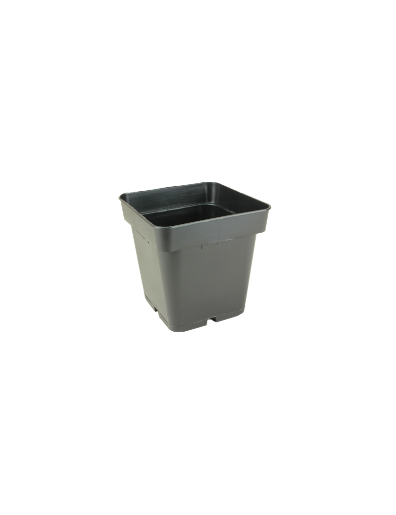 CONT CARRE CS 11X11X11 F 1L